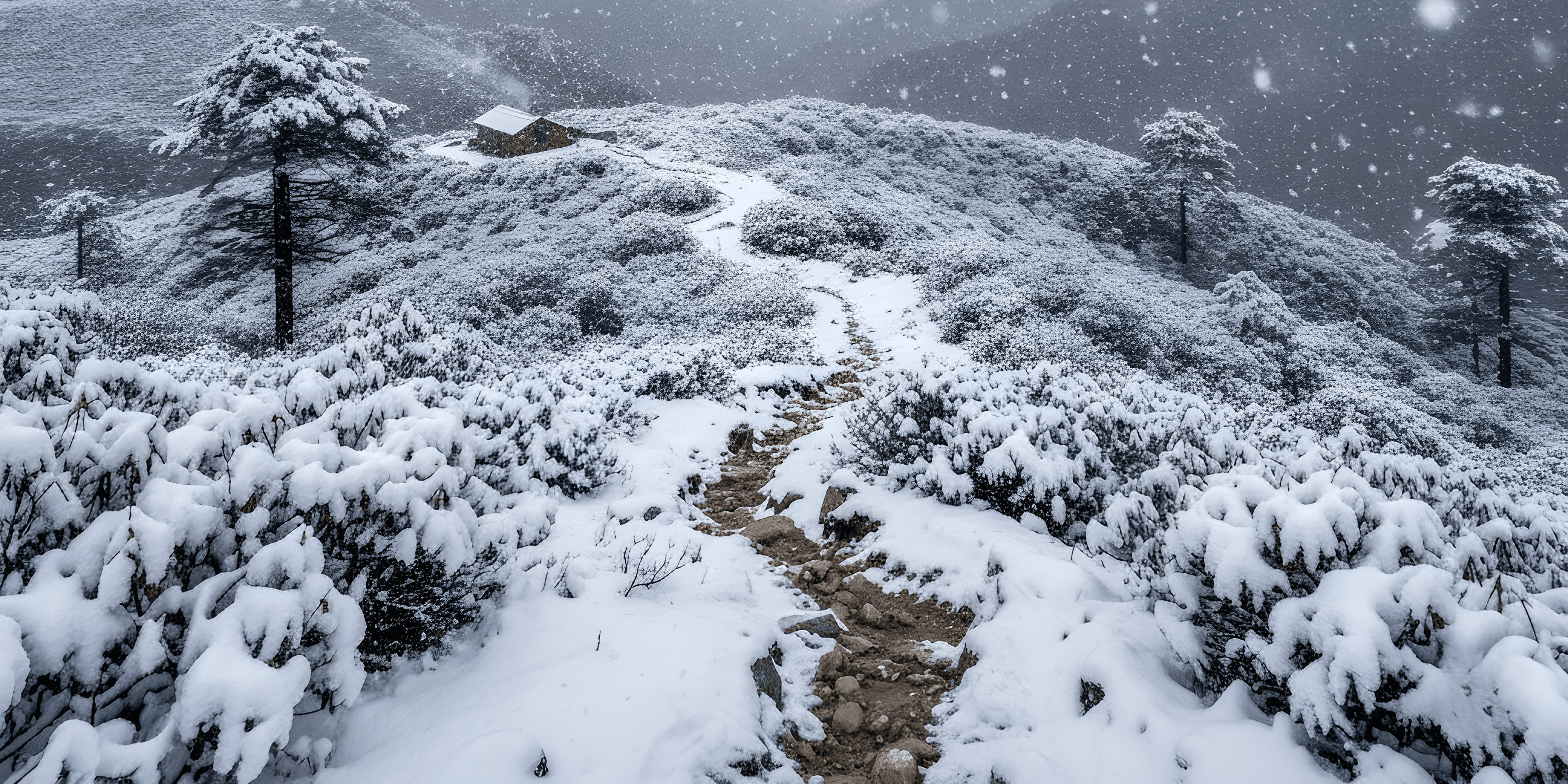 Contact Form Background