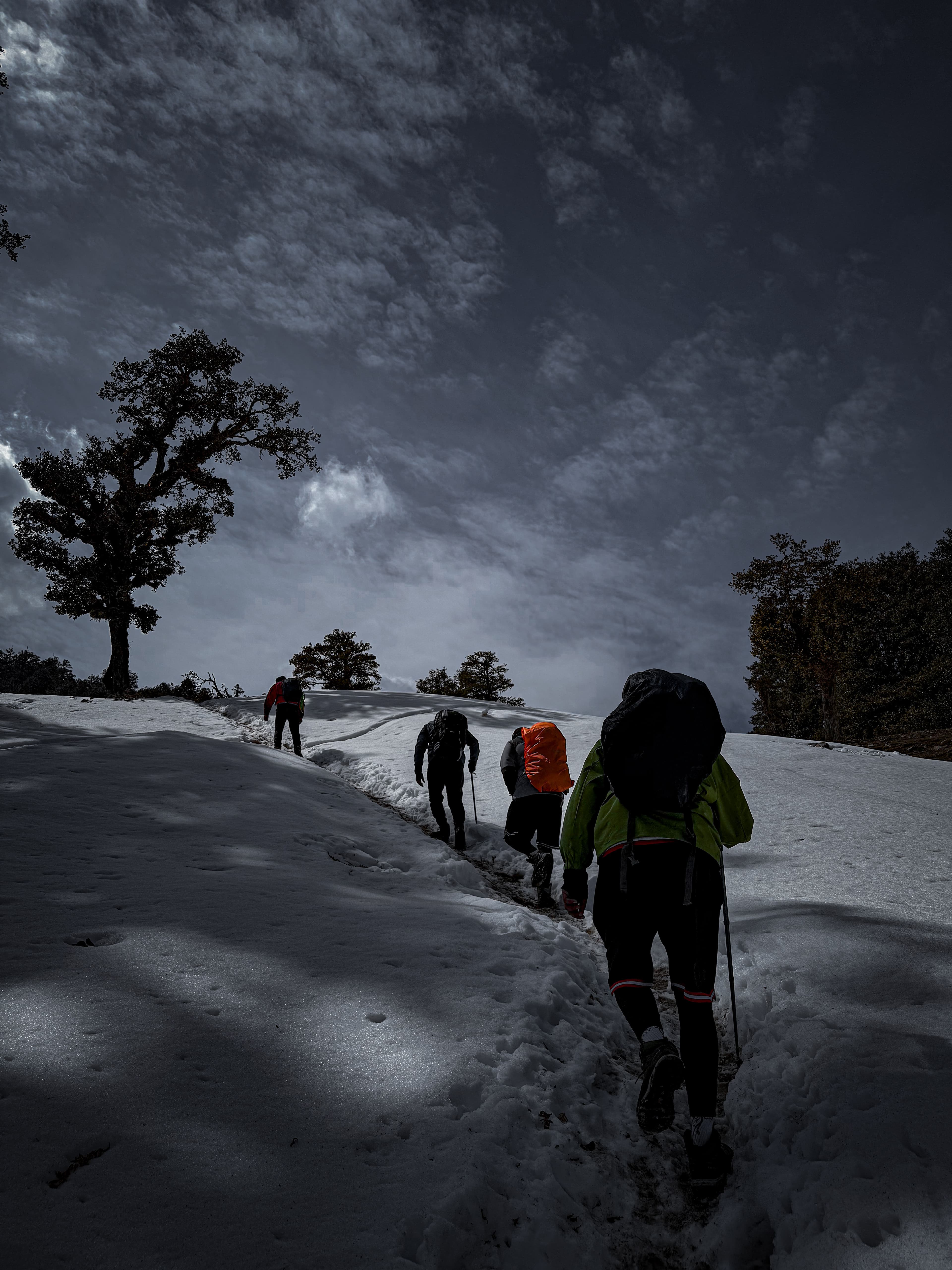 First Russian/American, Nikol Kovalchuk Joins the Elite — Completing the 14 Peaks and Seven Summits with Mastiff Expedition